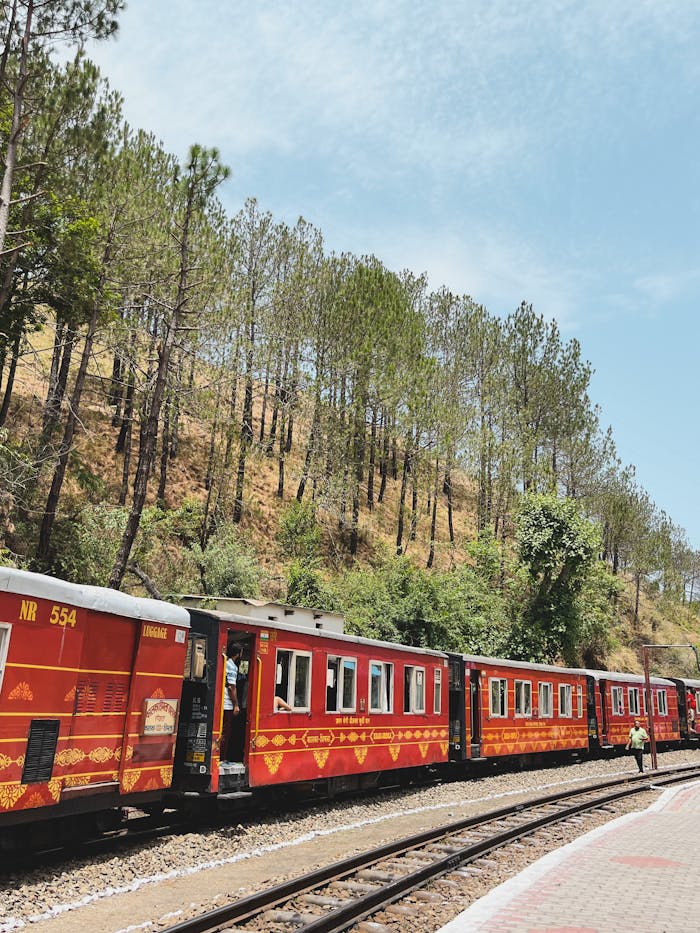A vibrant red train winds through forested hills during a sunny day, showcasing nature's beauty.